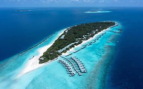 Niva Dhigali Maldives - A Premium All-Inclusive Resort